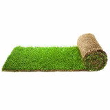 turf-turfworld-turf-roll-buy-turf[1]