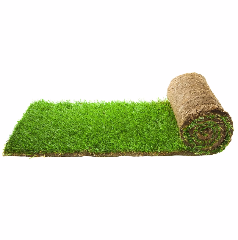 turf-turfworld-turf-roll-buy-turf[1]