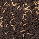 Turfworld_Grass-Seed_Top-Soil