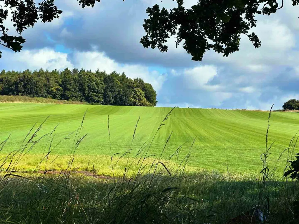 Turfworld_Landscaping_Turf-Seller