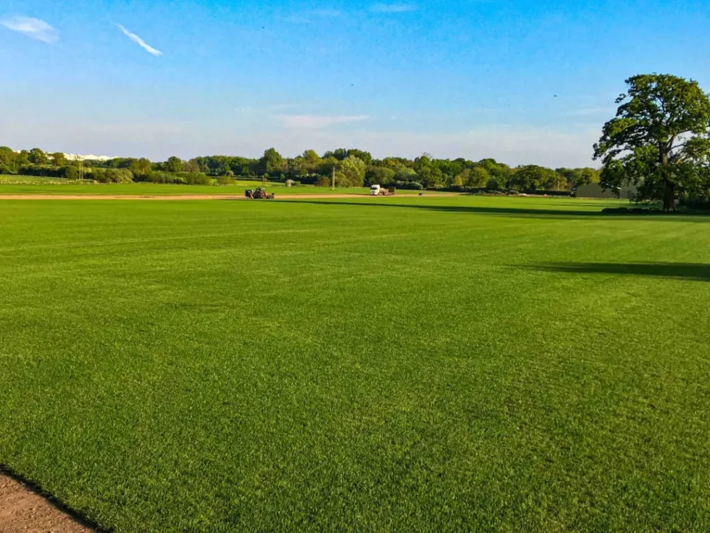 Turfworld_Landscaping_Wolverhampton_About-Us_Land-scaled